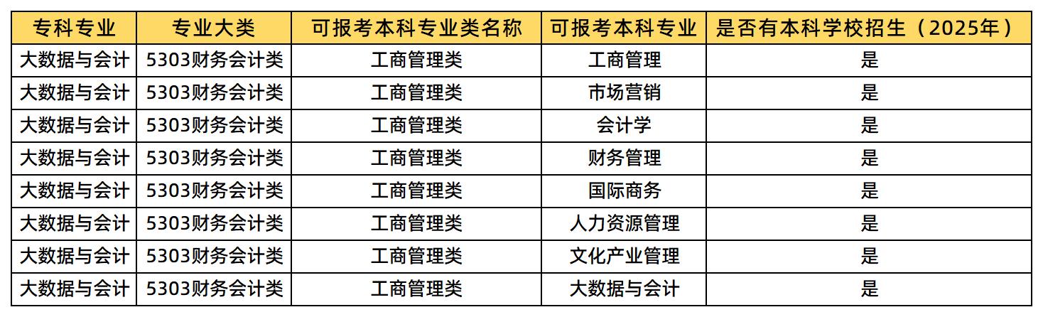 大数据与会计可报考的专业
